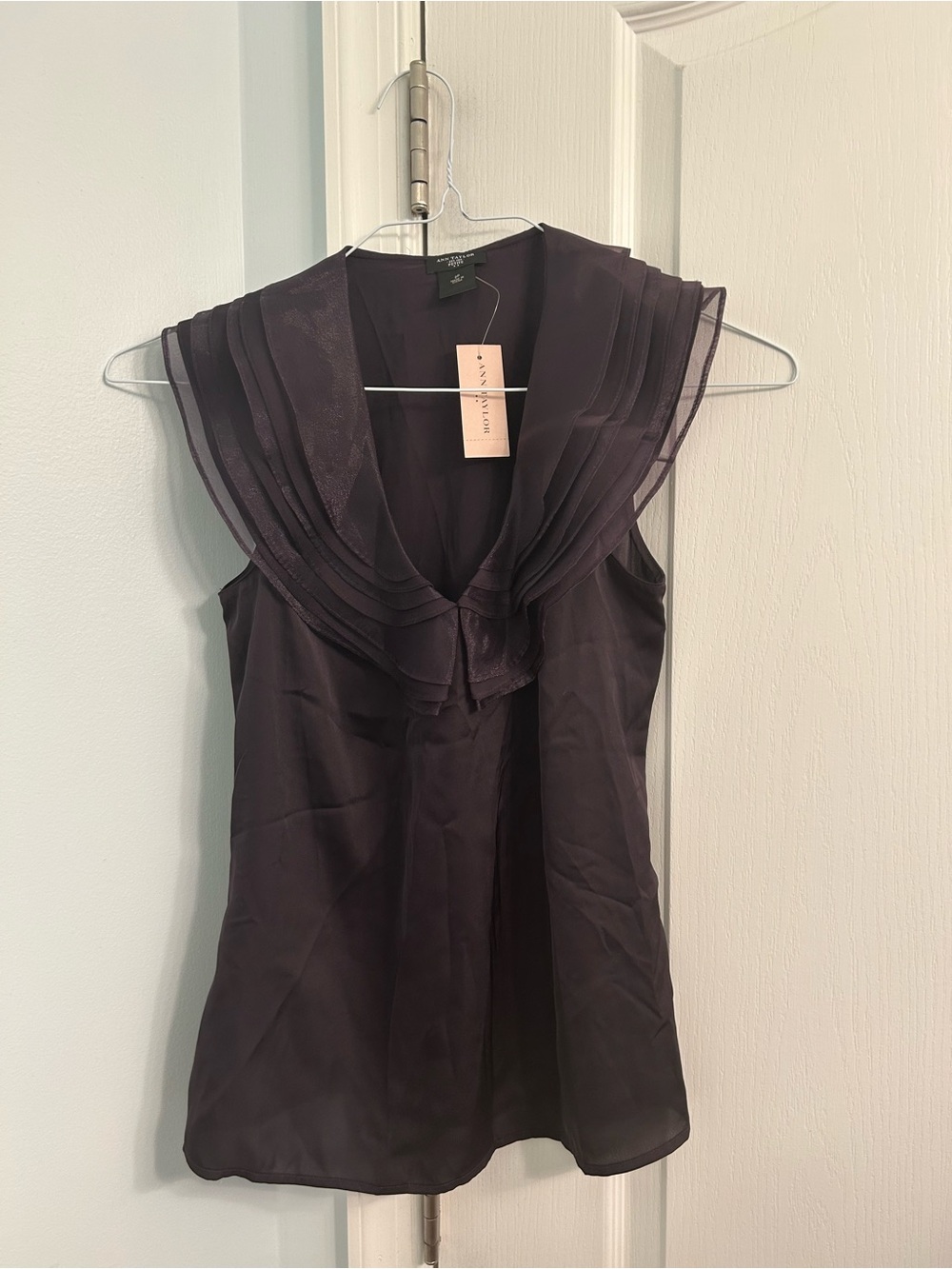 NWT Ann Taylor Plum Purple Camisole | Size 2P